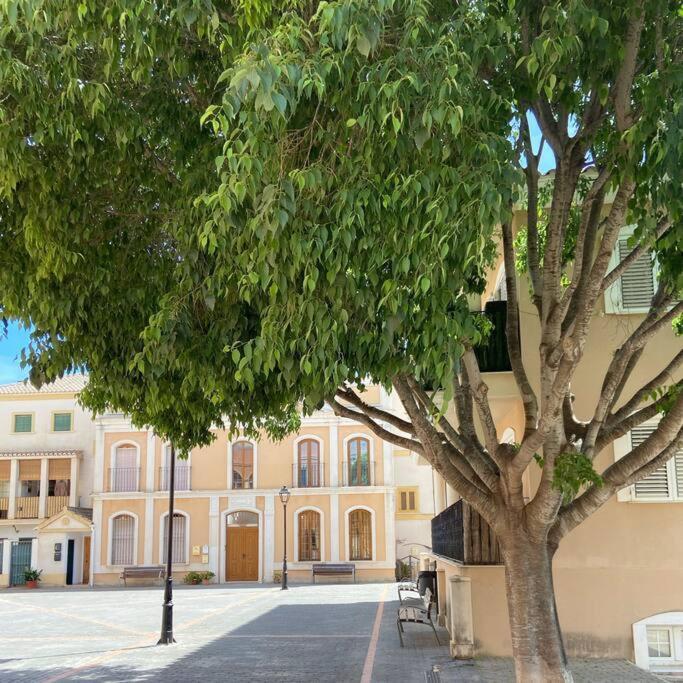 Apartamento Mediterraneo Entre Vinedos Jesus Pobre Экстерьер фото