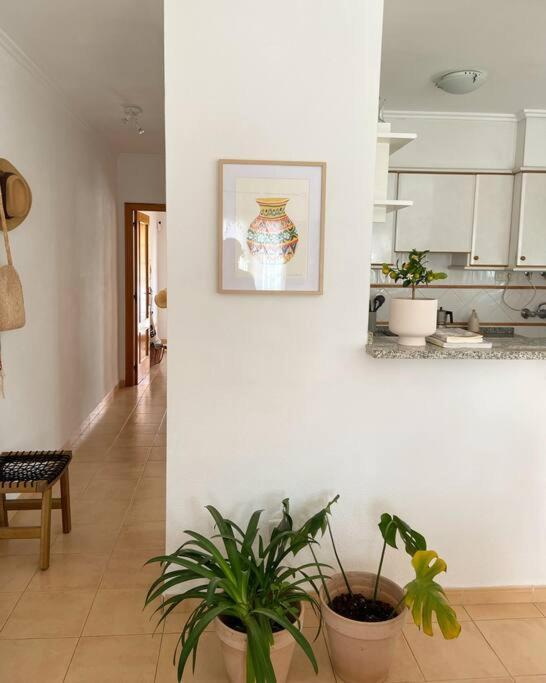 Apartamento Mediterraneo Entre Vinedos Jesus Pobre Экстерьер фото