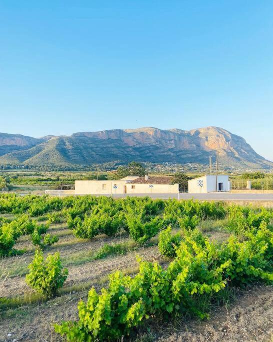 Apartamento Mediterraneo Entre Vinedos Jesus Pobre Экстерьер фото